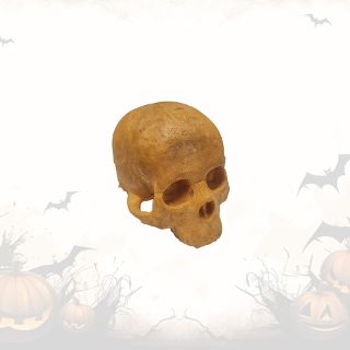 Human Skull Small #1: Foam (H: 9cm x L: 11cm x W: 8cm)