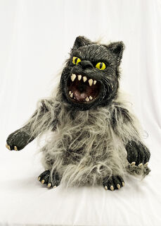 Hairy Gremlin Cat
