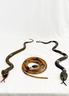 Snake Rubber Assorted