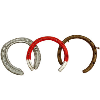 Horse Shoe Assorted