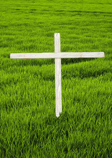 Crosses/Crucifix White Wide (H: 1.01m x W: 1m)