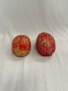Body Parts - Brain