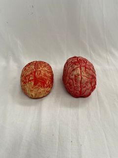 Body Parts - Brain