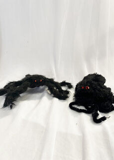 Spider Small Fluffy Assorted (40cm span)