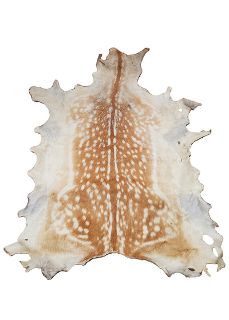Deer Skin Real Medium #2