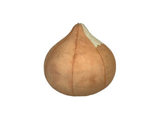 Giant Onion