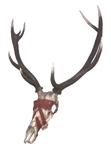 Animal Skull w/ Antlers & Red Paint - Real (H: 104cm x W: 69.5cm x D: 36cm)
