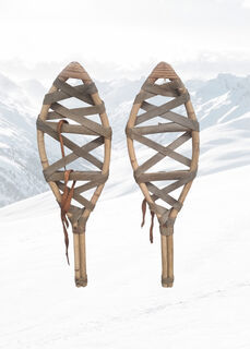 Snowshoe Pair