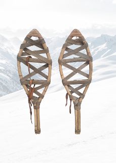 Snowshoe Pair