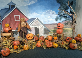 Halloween Pumpkin Patch