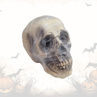 Human Skulls foam w/ Web (H: 16cm x L: 16cm x W: 22cm)