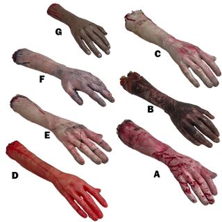 Body Parts - Arm Assorted