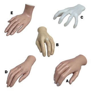 Body Parts - Hand Assorted