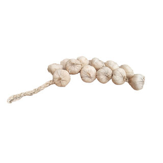 String of Garlic
