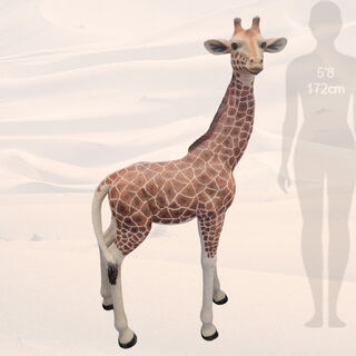 Giraffe Baby Statue (H: 1.62m x L: 0.95m x W: 30cm)