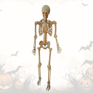 Skeleton Poseable Plastic w/ LED Eyes (H: 1.6m)