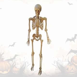 Skeleton Poseable Plastic w/ LED Eyes (H: 1.6m)