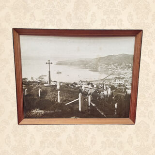 Framed Print - Wellington Catholic Cemetery 1885 (H:52cm x W:40cm)