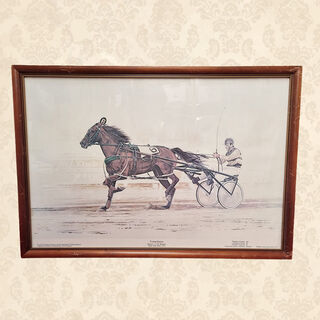 Framed Drawing - Trotting Horse w/ Jockey “Young Quinn”