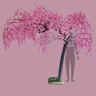 Cherry Blossom Tree Large (H: 2.65m x L: 3.3m x W: 2.1m)