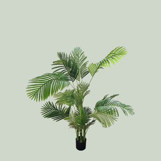 Hawaiian Palm Tree Potted Medium #2 (H: 1.5m x Base Dia: 0.17m x Top Dia: 1.4m) 5.8kg