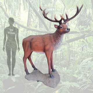 Life size 12 Point Stag / Deer (H: 2m x L: 1.25m x W: 0.6m. Travel Height 1.53m)