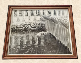 Framed Photo - Sepia - Auckland Zoo’s Hippo 1920’s (H: 22cm x W: 28cm)