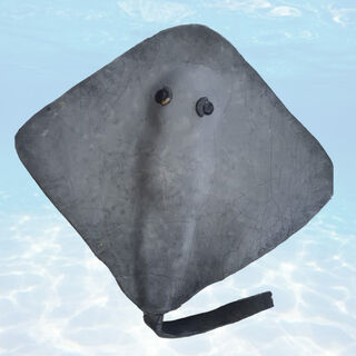 Stingray - Diamond