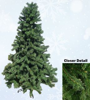 Christmas Tree Large - Green w/ Gold Glitter Tips  (H: 2.2m x Dia: 1.4m)