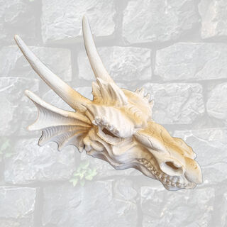 Dragon Skull Small - Plaster (H: 12cm x L: 20cm x W: 13cm)