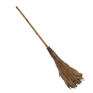Witches Broom - Full Sized Assorted