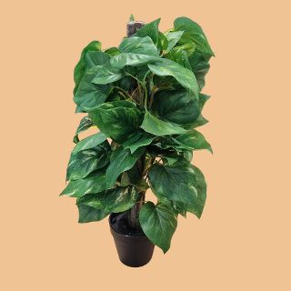 Fake Potted Plant #3 - Devil’s Ivy w/ Plastic Leaves (H: 42cm x W: 19cm x Base Dia: 6.5cm)