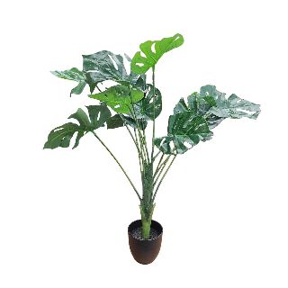 Fake Potted Plant #6 - Monstera w/ Black Pot (H: 95cm x W: 84cm x Base Dia: 10cm)