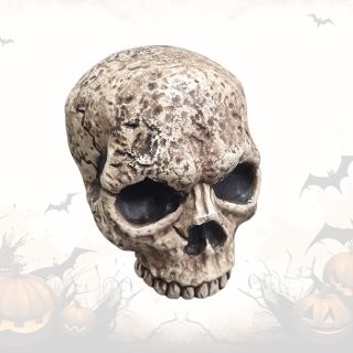 Monster Skull #3 - Plastic Jawless