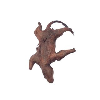 Skinned Rat (H: 5cm x L: 22cm x W: 16cm)