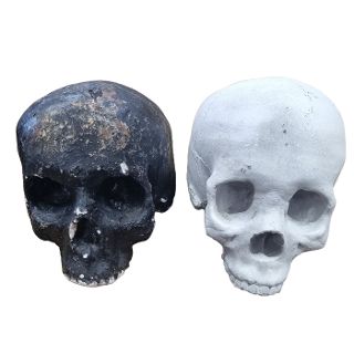 Human Skull #3: Plaster / Concrete Assorted (H: 16cm x L: 20cm x W: 16cm)