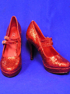 Dorothy Ruby Slippers