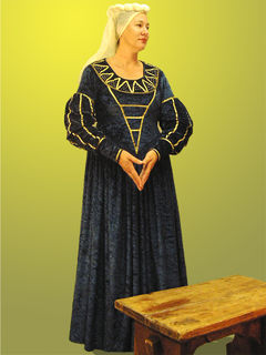 Servant Of The Court