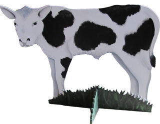 Calf Cut-out (H: 0.8 m x W: 1.2 m )