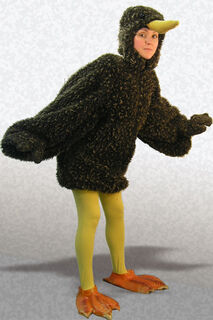 Kiwi