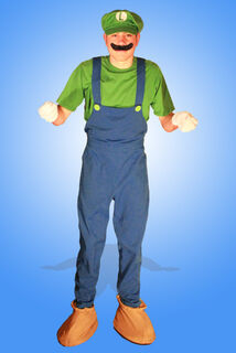 Mario Brothers - Luigi